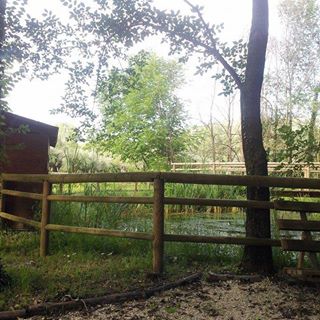 Profile Picture of Mario Caniglia (@mario.caniglia.98) on Facebook