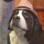 Profile Picture of Jerry Schmitt (@jerryschmitt6861) on Youtube