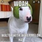 Profile Picture of   Cylo (@...cylo) | TikTok (@...cylo) on Tiktok