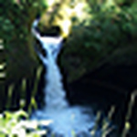 Profile Picture of Mary Schell (@mary ann schell) on Flickr