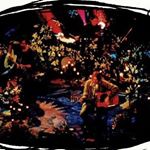 Profile Picture of Ted Todorovic-Thomas (@tedthomaas) on Instagram