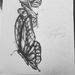 Profile Picture of Autumn Jacobson (@ajacobso0625) on Pinterest