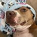 Profile Picture of Keira Duncan (@keiraduncan75) on Pinterest