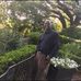 Profile Picture of Brian Colvin (@brian.colvin.7169) on Facebook