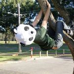 Profile Picture of Noel Walsh (@nollaig_breathnach_) on Instagram