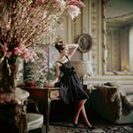 Profile Picture of David Mack (@dmmilano) on Instagram