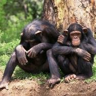 Profile Picture of Keith (@realRaceBanner) on Twitter