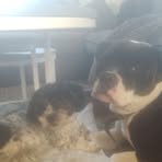 Profile Picture of Mercedes Spotter Julian (@Mercedes-Spotter-Julian) on Facebook