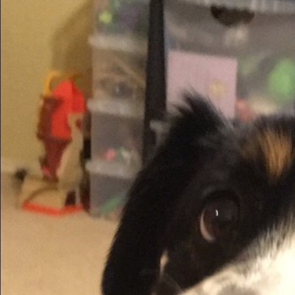 Profile Picture of Hayden Luthi (@luthi584) on Poshmark