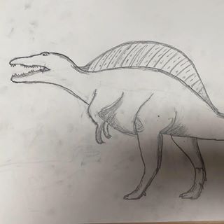 Profile Picture of Isaac Rubenstein (@Isaac-Rubenstein) on Facebook