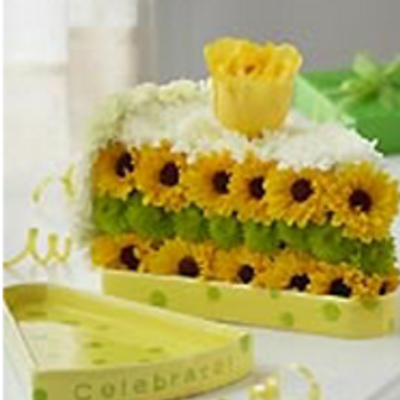 Profile Picture of Muhammad Hassaan Chughtai (@Chughtai432) on Twitter