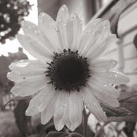 Profile Picture of Kara Adams-perez (@kara-adams-perez) on Quora