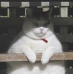 Profile Picture of Chad Hendrick Basal (@chadhendrick.basal.1) on Facebook