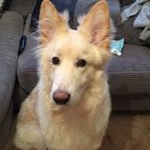 Profile Picture of Robert (@robert_shirley456) on Instagram