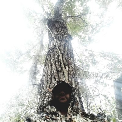 Profile Picture of 🐊 Nate The Lesser 🐊 (@NatetheLesser) on Twitter