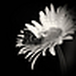 Profile Picture of photo obsessed (@photo obsessed) on Flickr