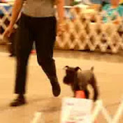 Profile Picture of Cindy Bankston (@cbarkston) on Youtube