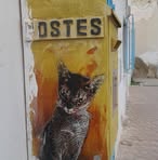 Profile Picture of Daniel Dautel (@daniel.dautel.92) on Facebook