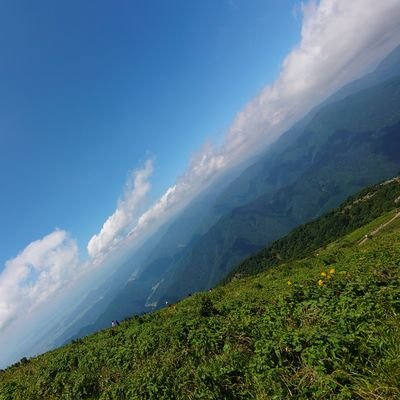 Profile Picture of だにえる (@Danny_shimA) on Twitter