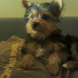 Profile Picture of Susie Montijo (@321147348) on Myspace