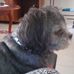 Profile Picture of Jo Jefferies (@jo.jefferies.1) on Facebook