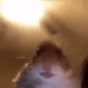 Profile Picture of oh god (@@DaxDoesRoblox) on Tiktok