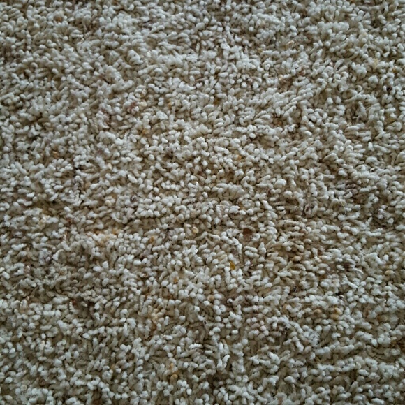 Profile Picture of Lisa Gronewold (@lkt5853) on Poshmark