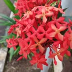 Profile Picture of Nobel Bright (@Nobel-Bright) on Facebook