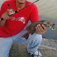 Profile Picture of Arief Julianto (@arief-julianto) on Quora