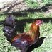 Profile Picture of Abraham Luis (@abraham.luis.5055) on Facebook