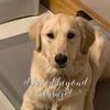 Profile Picture of debbiearchibald1 (@@debbiearchibald1) on Tiktok