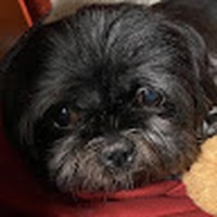 Profile Picture of Joseph Metry (@joseph-metry-3) on Quora
