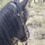 Profile Picture of Kimberly Templeton Sant (@kimber_snap) on Instagram