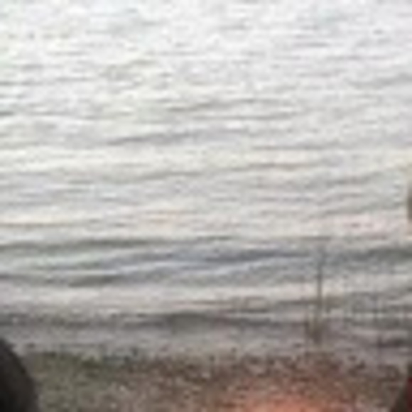 Barb Harburg - Poshmark Profile Picture of Barb Harburg (@barbharburg) on Poshmark