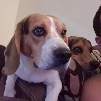 Eduardo Trigueros - Twitter Profile Picture of Eduardo Trigueros (@77Guando) on Twitter