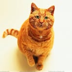 Profile Picture of Gem Cook (@gem.cook.16) on Facebook