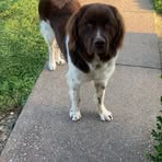 Profile Picture of Lydia Mudd (@lydia.mudd.2025) on Facebook