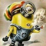 Profile Picture of дочка петра щура (@apvs6s2.0) on Instagram