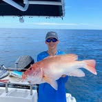 Profile Picture of Harry Halpin (@harry.halpin.2025) on Facebook