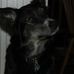 Profile Picture of Paul Rehm (@paul.rehm.980) on Facebook