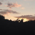 Profile Picture of Levi WAlls (@leviiiiiiiii___) on Instagram