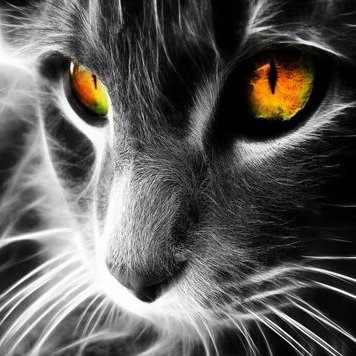 Profile Picture of Shawn Twigg (@Shawn_Twigg) on Twitter