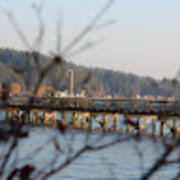 Profile Picture of Johannah Maiuri (@johannah_maiuri) on Poshmark