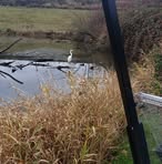 Profile Picture of Darold Walker (@darold.walker.9) on Facebook