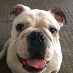 Profile Picture of Raymond Mackey (@raymond_mackey) on Instagram