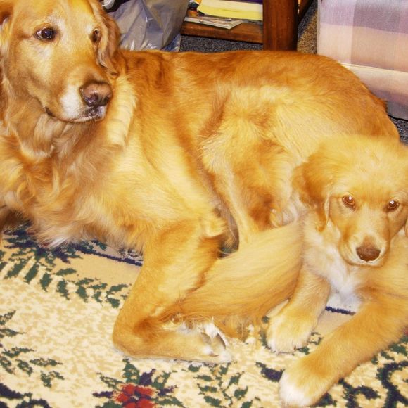 Profile Picture of Roberta Kluepfel (@rkluepfel) on Poshmark