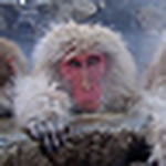 Profile Picture of Jens Hoßbach (@jhossbach) on Flickr