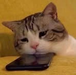 Profile Picture of Alondra Huitron (@alondra.huitron.515212) on Facebook