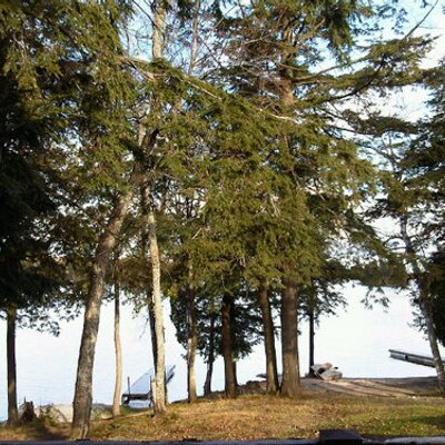 Profile Picture of Tracy Batchelor (@TracyBatch) on Twitter