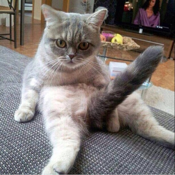 Mar Zajic - Poshmark Profile Picture of Mar Zajic (@mrs_zajic) on Poshmark